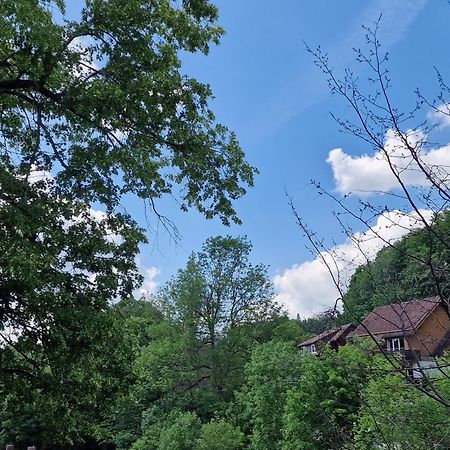 Gemuetliche Moderne Ferienwohnung Inkl. Wlan In St Andreasberg/Braunlange Sankt Andreasberg Dış mekan fotoğraf