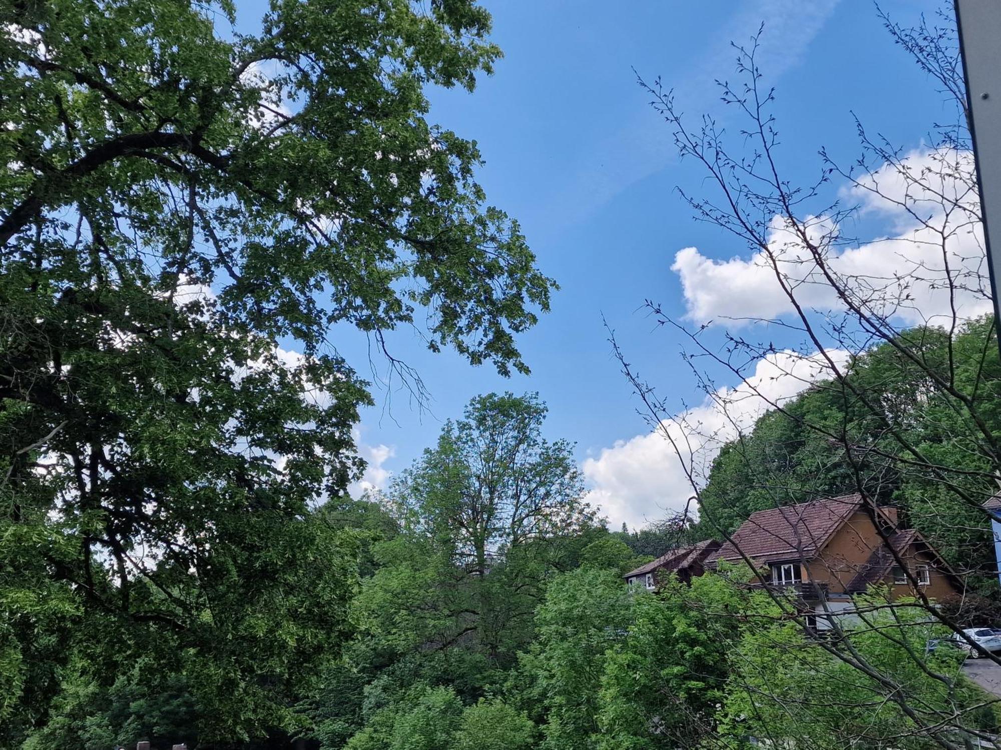 Gemuetliche Moderne Ferienwohnung Inkl. Wlan In St Andreasberg/Braunlange Sankt Andreasberg Dış mekan fotoğraf